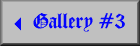 Gallery #3